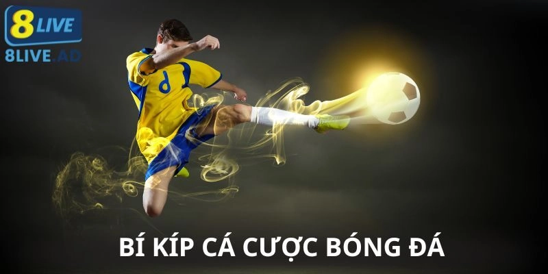 Bí Kíp Cá Cược Bóng Đá 8Live Không Phải Ai Cũng Biết