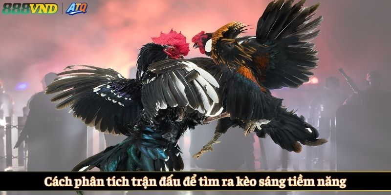 Cách phân tích trận đấu để tìm ra kèo sáng tiềm năng